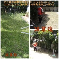 相關圖片