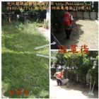 相關圖片