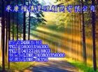 各項禮儀服務殯葬業,祭拜禮品,花車,禮車